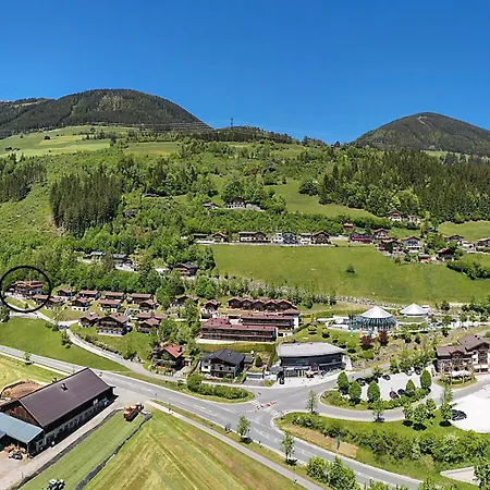 Schoneben Wald im Pinzgau