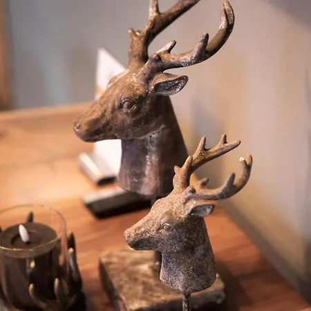 Schoneben Wald im Pinzgau